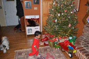 20121228 039